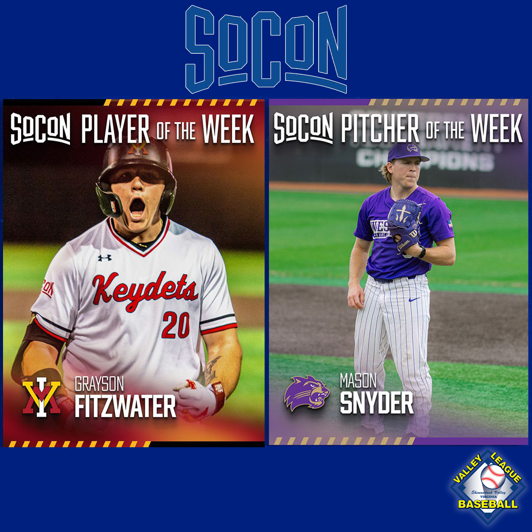 Valley Baseball League tweet media