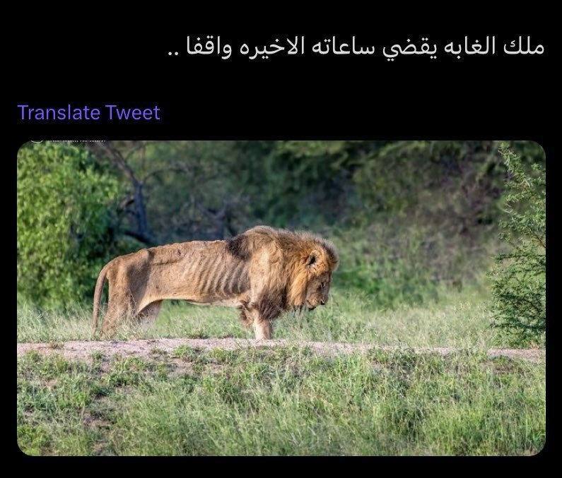 brymon_'s tweet photo. اخر يوم قبل إزالة الباكسمود .. https://t.co/SBm9x41vxB