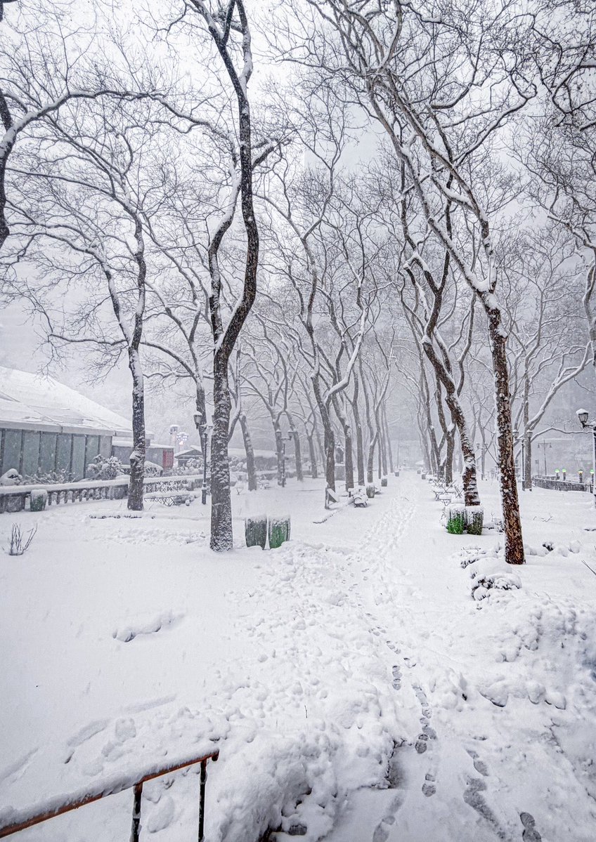 Bryant Park tweet media