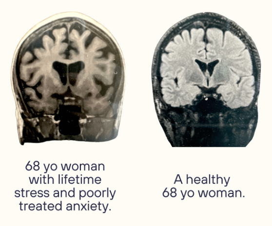 ⚡️Nick Sweeney ⚡️ tweet media