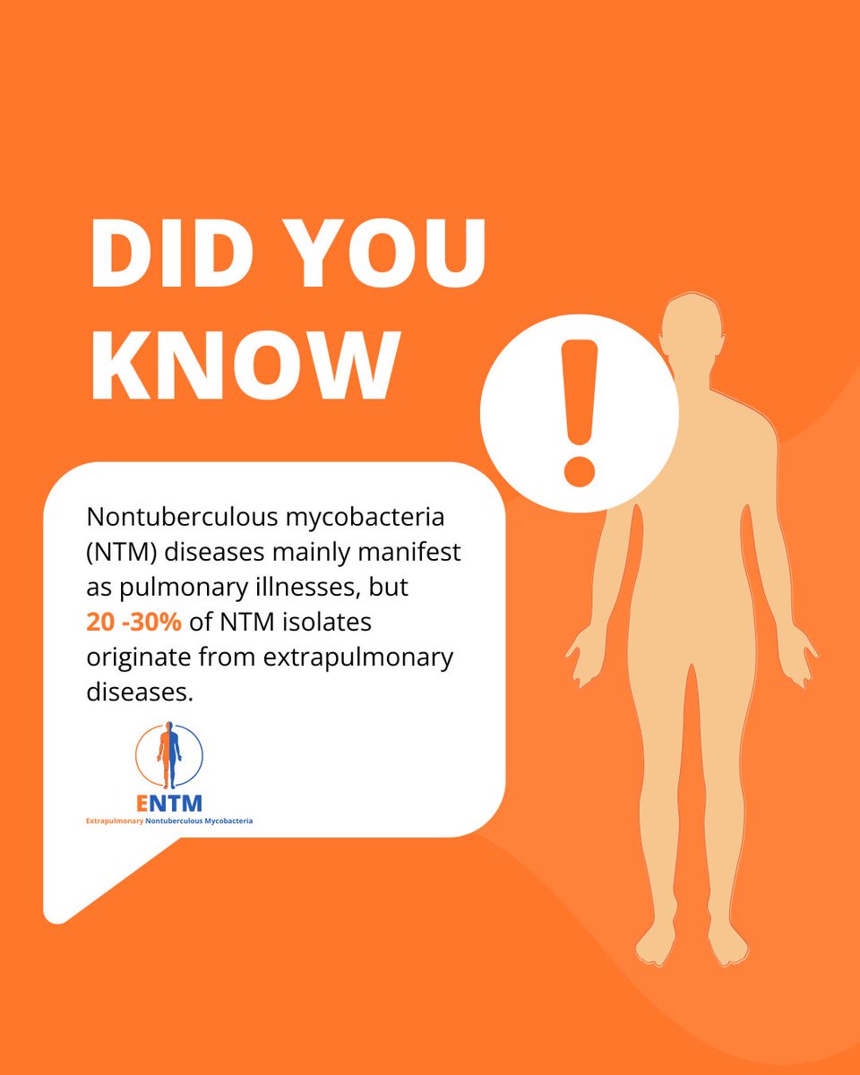 NTM Info & Research tweet media