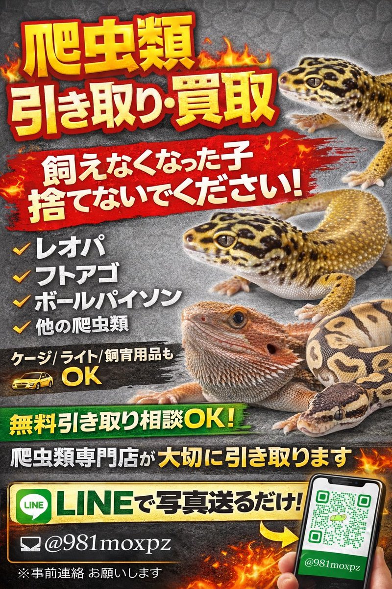 はちゅるーと tweet media