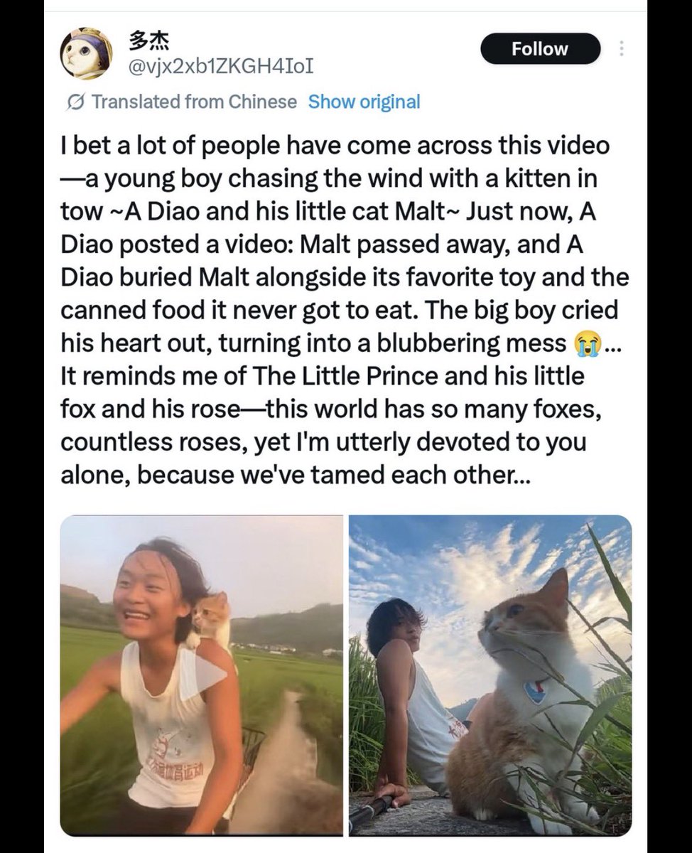 Ackerman tweet media