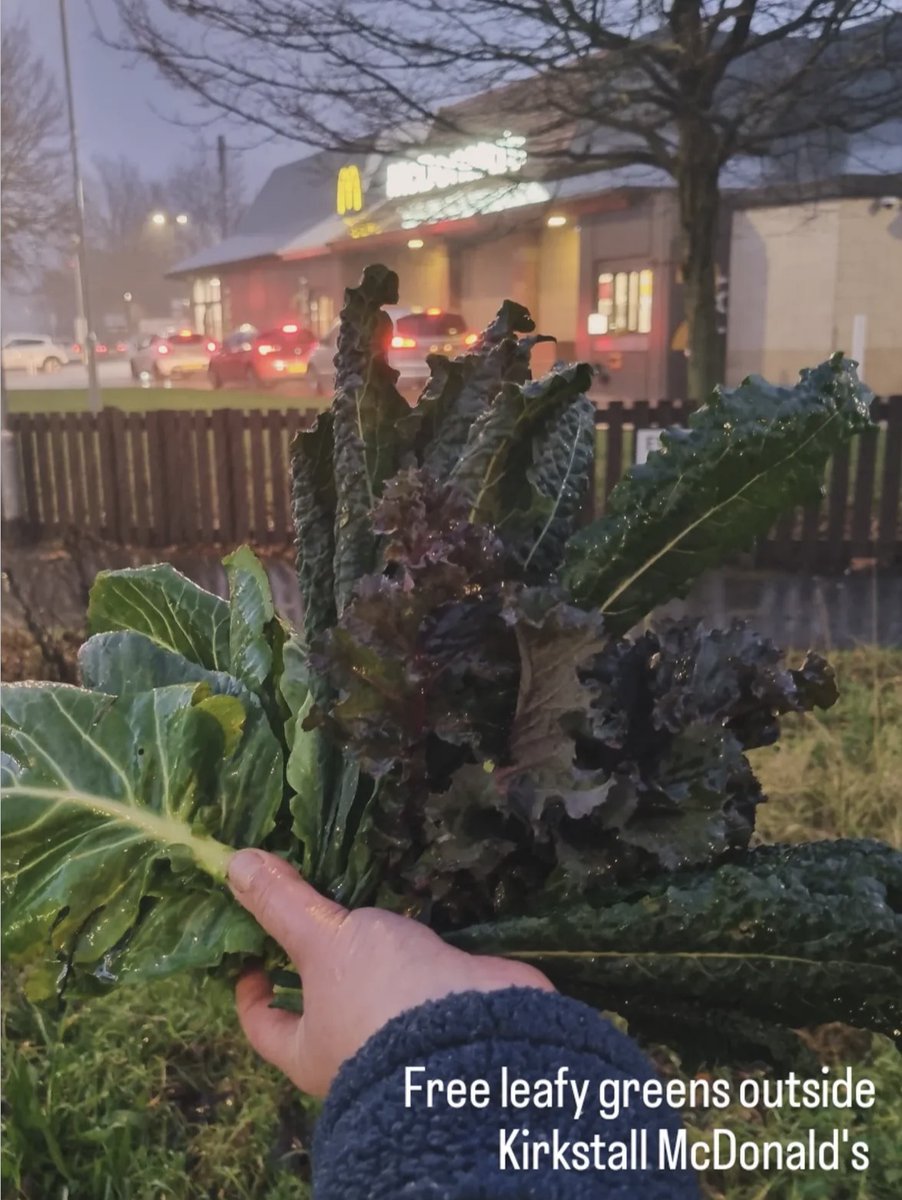 subvgardener's tweet photo. Harvesting in public space transforms the city into a shared pantry.
Shared by @sparkingcommunity, this moment shows how overlooked urban land can produce fresh, accessible food when communities choose to care for it.
Local harvests are both ecological and social infrastructure. https://t.co/EiHmfficvd