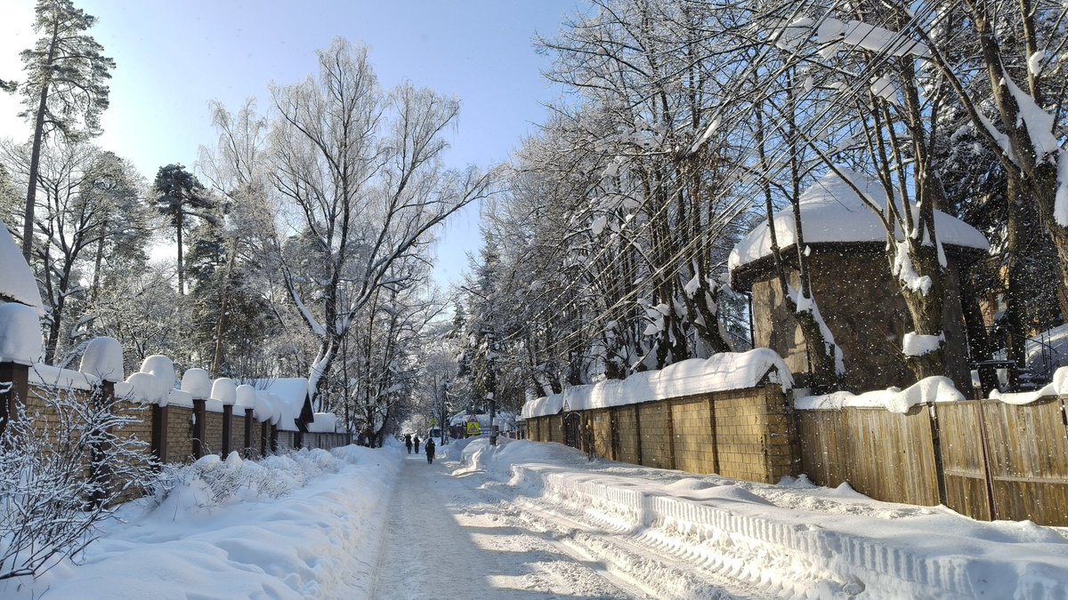 зеф🔆 tweet media