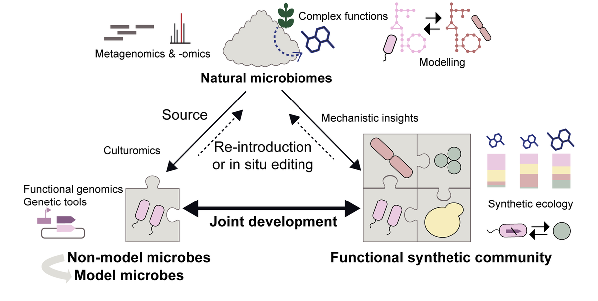 Indra Roux tweet media