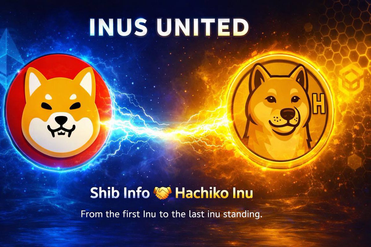 $_Expert Para_$ tweet media