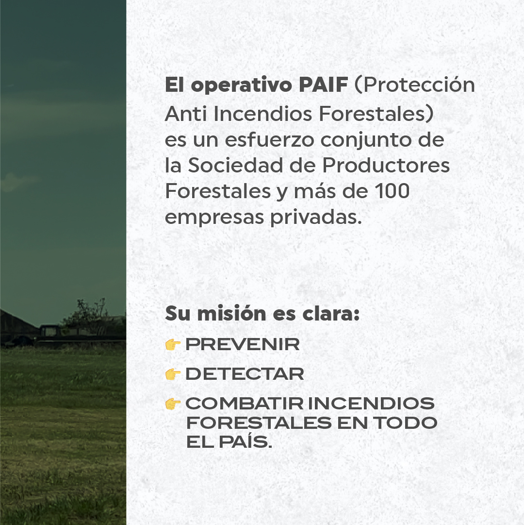 Sociedad de Productores Forestales tweet media