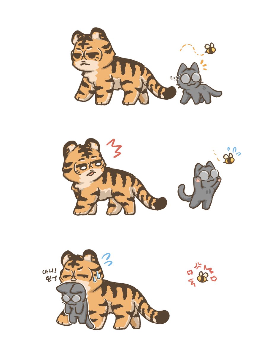 C-Cat แมว 🐈⬛ tweet media