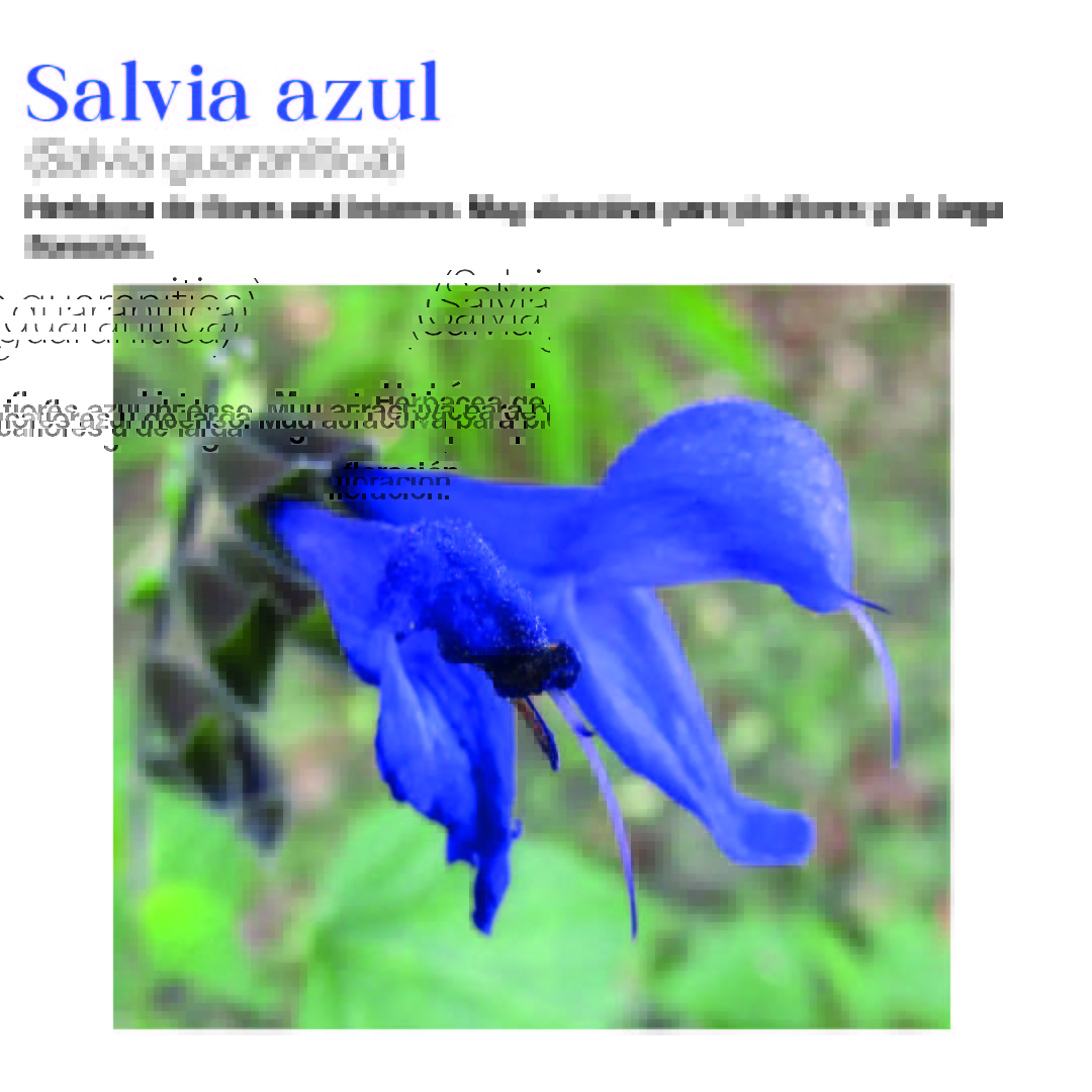 Arquitectura, Paisaje y Patrimonio tweet media