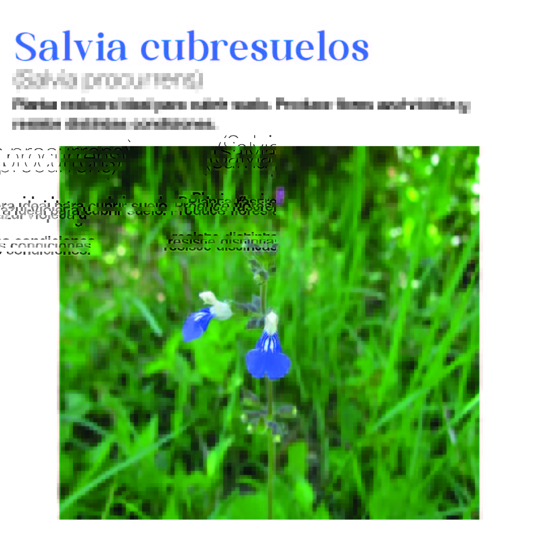 Arquitectura, Paisaje y Patrimonio tweet media