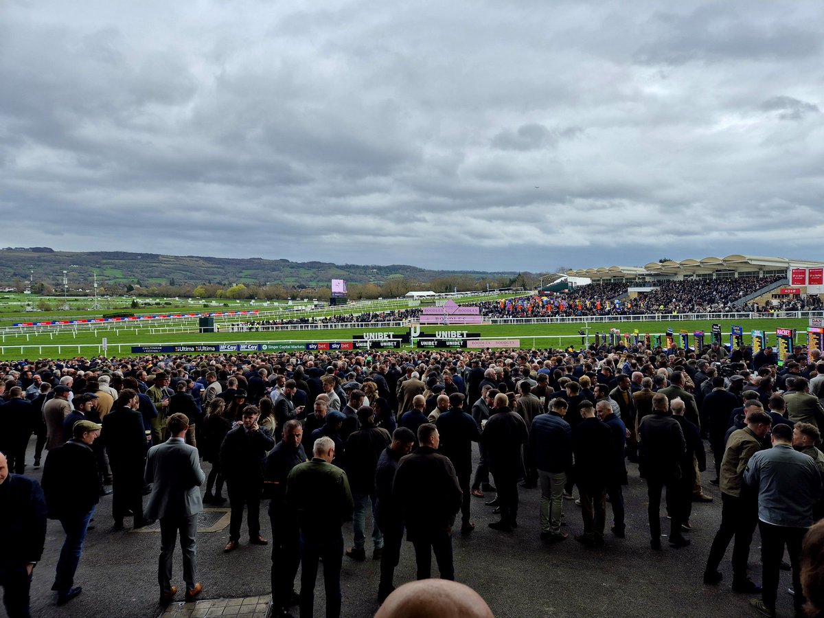 Michael Kelly tweet media