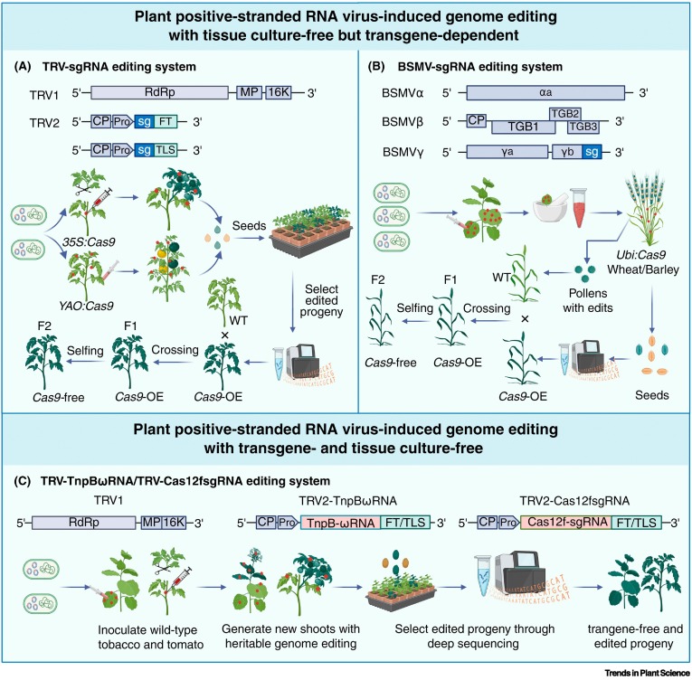 AgriExperts tweet media