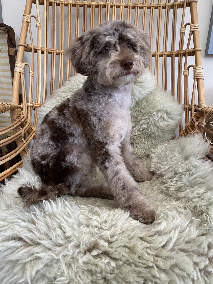 BeMoreBob tweet media