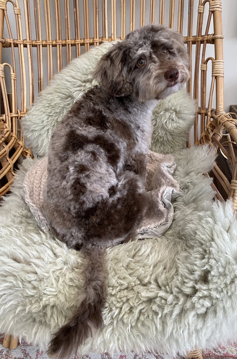 BeMoreBob tweet media