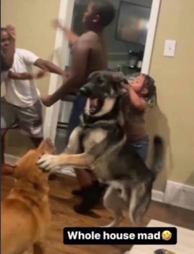 Voixed 🦇 (#1 Dominion Fan) tweet media