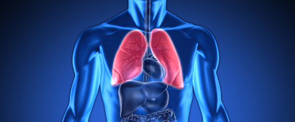 MarketResearch_'s tweet image. This report provides a world-market forecast and segmentation view of AI in #oncology imaging across regions, modalities, tumor sites, clinical applications, pathway stages, end-use settings, and revenue streams. hubs.la/Q044yZHd0 #medicaldevices