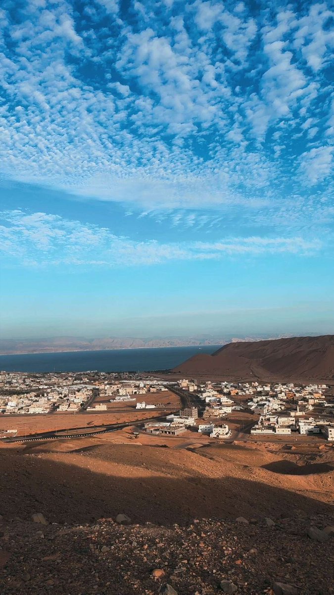 عطيه 🇸🇦 tweet media