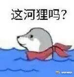 QinHan8044's tweet photo. @MOTIVAND0TE https://t.co/G8cut1qhx8
