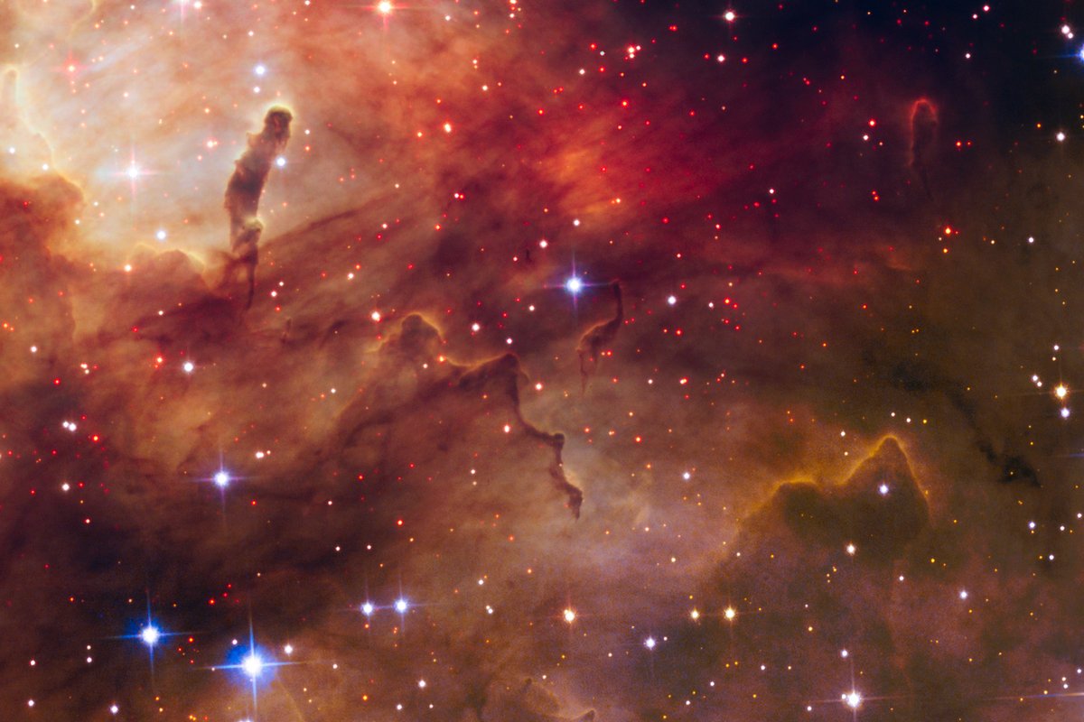 WorldAndScience's tweet photo. Intruiging: These red specks are newborn stars, still hidden in gas and dust cocoons. Hydrogen fusion in their cores has yet to begin.

(Credit: NASA, ESA, the Hubble Heritage Team (STScI/AURA), A. Nota (ESA/STScI), and the Westerlund 2 Science Team) https://t.co/bMKyGRUgQs
