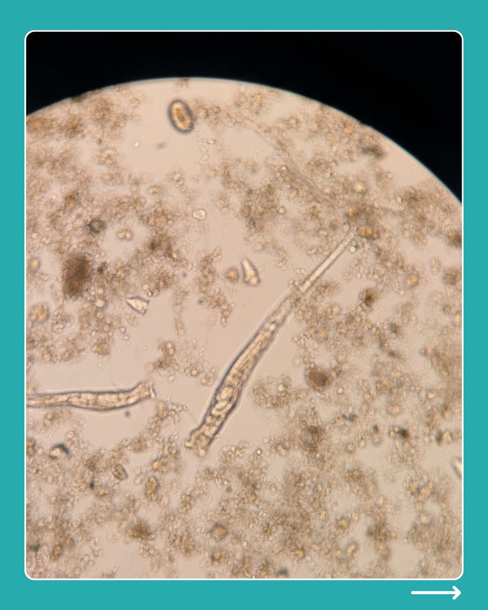 Faculty of Bioscience Engineering UGent tweet media