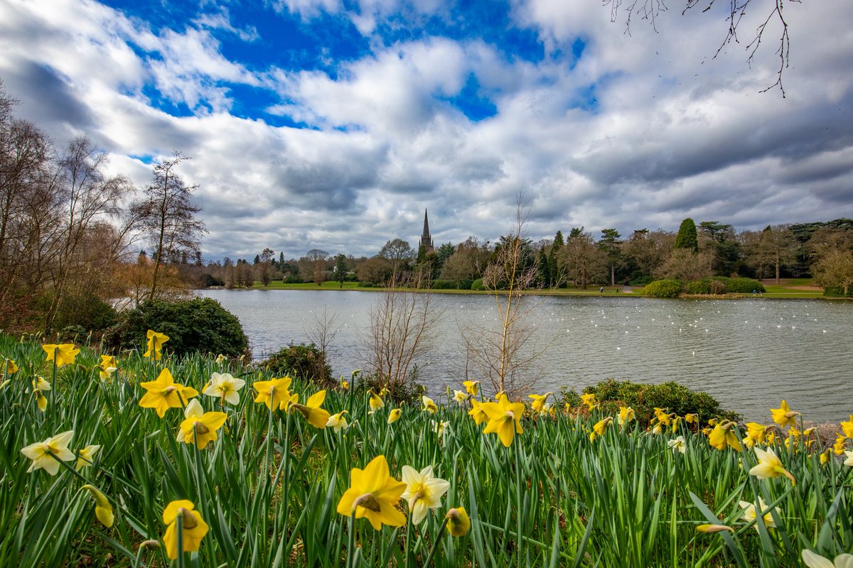 steve1_9_6_2's tweet photo. Has spring finally arrived in @NTClumberPark @kerriegosneyTV @Hudsonweather  ? Lovely light but a very cold breeze https://t.co/6FrJuH79fU