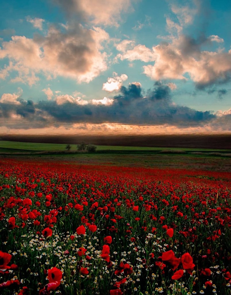 Fabiana54091377's tweet image. #Slovenia #Slovakia #Serbia #Peru #Romania