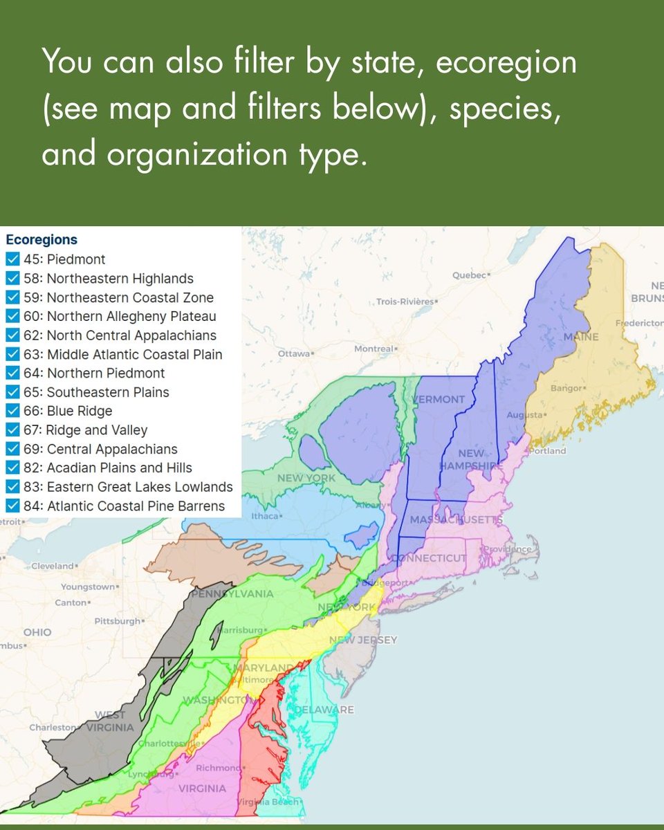 EcoHealthNet's tweet photo. For learning more about who’s involved in growing, researching, and using native seeds and plants in the Northeast and Mid-Atlantic regions, this map and directory is the place to go! Find it at the link in our bio. https://t.co/N5CQ7vPaWJ