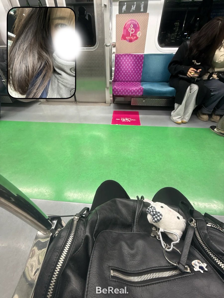 냥이 tweet media