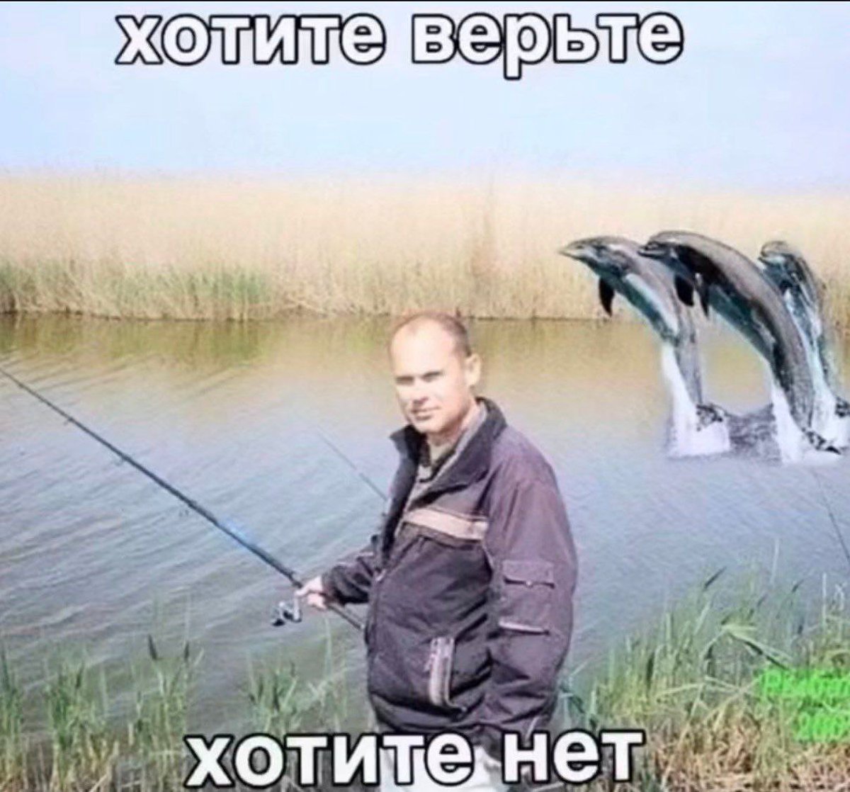 discotune's tweet photo. ОДИННАДЦАТЫЙ ДЕНЬ И ХЕГСЕТ ВЫШЕЛ В ПЕНТАГОНЕ И ТАКОЙ ЗАВТРА БУДЕТ САМЫЙ МОЩНЫЙ ДЕНЬ УДАРОВ С НАЧАЛА ВОЙНЫ БОЛЬШЕ ИСТРЕБИТЕЛЕЙ БОЛЬШЕ БОМБАРДИРОВЩИКОВ РАЗВЕДКА ЛУЧШЕ ЧЕМ КОГДА-ЛИБО БРАТАН ТЫ ОБЪЯВИЛ АНОНС БОМБЁЖКИ КАК ТРЕЙЛЕР БЛОКБАСТЕРА ОПЕРАЦИЯ ЭПИК ФЬЮРИ ДЕНЬ ОДИННАДЦАТЫЙ ВСЕ БИЛЕТЫ ПРОДАНЫ ПОПКОРН В КОМПЛЕКТЕ

А ТРАМП ВЫДАЛ ШЕДЕВР СНАЧАЛА ПОЗВОНИЛ В CBS И СКАЗАЛ ВОЙНА ОЧЕНЬ ЗАВЕРШЕНА НЕ ПРОСТО ЗАВЕРШЕНА А ОЧЕНЬ ПОТОМ ЧЕРЕЗ ТРИ ЧАСА ВЫШЕЛ К РЕСПУБЛИКАНЦАМ В МАЙАМИ И СКАЗАЛ НАМ НУЖНА ОКОНЧАТЕЛЬНАЯ ПОБЕДА БРАТАН ТРИ ЧАСА НАЗАД ВОЙНА БЫЛА ОЧЕНЬ ЗАВЕРШЕНА А ТЕПЕРЬ НУЖНА ОКОНЧАТЕЛЬНАЯ ПОБЕДА ВЫБЕРИ ОДНУ ВЕРСИЮ И НАШИМ И ВАШИМ И ОТСОСЁМ И СПЛЯШЕМ А ПОТОМ НАПИСАЛ В TRUTH SOCIAL ЧТО ЕСЛИ ИРАН ХОТЬ ЧТО-ТО СДЕЛАЕТ С ОРМУЗСКИМ ПРОЛИВОМ ОН ПОЛУЧИТ В ДВАДЦАТЬ РАЗ СИЛЬНЕЕ ДВАДЦАТЬ ИКС ЭТОТ ЧЕЛОВЕК ГОВОРИТ ЦИФРАМИ ИЗ РЕКЛАМЫ СТИРАЛЬНОГО ПОРОШКА А ПОТОМ ВООБЩЕ СКАЗАЛ ЧТО РАССМАТРИВАЕТ ВАРИАНТ ЗАБРАТЬ ОРМУЗСКИЙ ПРОЛИВ СЕБЕ ЦЕЛИКОМ ПРОСТО ЗАБРАТЬ МЕЖДУНАРОДНЫЙ ПРОЛИВ ЧЕРЕЗ КОТОРЫЙ ИДЁТ ПЯТАЯ ЧАСТЬ МИРОВОЙ НЕФТИ КАК ЧУВАК КОТОРЫЙ ПРИХОДИТ НА ЧУЖУЮ ВЕЧЕРИНКУ И ГОВОРИТ ТЕПЕРЬ ЭТО МОЯ КВАРТИРА

А ИРАНСКИЕ СТРАЖИ ИСЛАМСКОЙ РЕВОЛЮЦИИ ВЫШЛИ И ТАКИЕ ДА ВЫ ОХУЕЛИ ЧТО ЛИ НАША РАКЕТНАЯ ПРОГРАММА УНИЧТОЖЕНА МЫ РАЗВОРАЧИВАЕМ СНАРЯДЫ В ЕЩЁ БОЛЬШЕМ КОЛИЧЕСТВЕ С БОЕГОЛОВКАМИ БОЛЬШЕ ТОННЫ ТОННА БРАТАН ТОННА ВЗРЫВЧАТКИ ЛЕТИТ В ТВОЮ СТОРОНУ А ИХ ПРЕСС-СЕКРЕТАРЬ ГОВОРИТ ИРАН ОПРЕДЕЛИТ КОГДА ВОЙНА ЗАКОНЧИТСЯ НЕ АМЕРИКА А ИРАН БРАТАН ТЕБЯ БОМБЯТ ОДИННАДЦАТЫЙ ДЕНЬ 5000 ЦЕЛЕЙ УНИЧТОЖЕНО 50 КОРАБЛЕЙ НА ДНЕ А ТЫ ГОВОРИШЬ Я РЕШУ КОГДА ЭТО КОНЧИТСЯ ДОИГРАЛСЯ ХУЙ НА СКРИПКЕ НО СКРИПКУ НЕ БРОСАЕТ

А ЛИВАН ПОПРОСИЛ ПРЯМЫЕ ПЕРЕГОВОРЫ С ИЗРАИЛЕМ ТИПА ДАВАЙТЕ СЯДЕМ ПОГОВОРИМ КАК ВЗРОСЛЫЕ ОБРАТИЛИСЬ К ПОСЛУ США В ТУРЦИИ ТОМУ БАРАКУ А ТОТ ОТВЕТИЛ ХВАТИТ НЕСТИ ЧУШЬ НАСЧЁТ РАЗОРУЖЕНИЯ ХЕЗБОЛЛЫ ЕСЛИ НЕТ РЕАЛЬНЫХ ДЕЙСТВИЙ В ПЕРЕГОВОРАХ СМЫСЛА НЕТ И США ПРОСТО ПРОИГНОРИЛИ ЛИВАН А ИЗРАИЛЬ ТАКОЙ НУ МОЖЕМ ПОСЛУШАТЬ НО НЕ ВЕРИМ ТО ЕСТЬ ЛИВАН СТУЧИТСЯ ВО ВСЕ ДВЕРИ А ЕМУ ОТВЕЧАЮТ ЛИБО ПОШЁЛ НАХЕР ЛИБО ПОДОЖДИ НА УЛИЦЕ ОДИН РУБИТ А СЕМЕРО В ХУЙ ТРУБЯТ

НАТО СБИЛО ВТОРУЮ ИРАНСКУЮ РАКЕТУ НАД ТУРЦИЕЙ ЗА НЕДЕЛЮ ПЕРВУЮ СБИЛИ ЧЕТВЁРТОГО МАРТА НАД СРЕДИЗЕМКОЙ А ЭТА ПРЯМО В ТУРЕЦКОЕ ВОЗДУШНОЕ ПРОСТРАНСТВО ЗАЛЕТЕЛА ОБЛОМКИ УПАЛИ МЕЖДУ АВИАБАЗОЙ И РАДАРНОЙ СТАНЦИЕЙ ОБЕ ИСПОЛЬЗУЮТСЯ НАТО А ИРАН ТАКОЙ МЫ НЕ СТРЕЛЯЛИ БРАТАН НАТО СБИЛО ТВОЮ РАКЕТУ НАД СТРАНОЙ АЛЬЯНСА У НИХ РАДАРЫ И СПУТНИКИ А ТЫ ГОВОРИШЬ НЕ МЫ ЭТО КАК СТОЯТЬ С ДЫМЯЩИМСЯ СТВОЛОМ И ГОВОРИТЬ ПУЛЯ САМА ВЫЛЕТЕЛА

ИРАН ПРОВЁЛ ТРЕТЬ 2026 ГОДА БЕЗ ИНТЕРНЕТА 240 ЧАСОВ БЛЭКАУТ 90 МИЛЛИОНОВ ЧЕЛОВЕК НА ОДНОМ ПРОЦЕНТЕ СВЯЗИ А ГОСУДАРСТВЕННЫЕ КАНАЛЫ ПРИ ЭТОМ РАБОТАЮТ ОТЛИЧНО НАРОДУ ИНТЕРНЕТ ВЫРУБИЛИ А ПРОПАГАНДУ ВЕЩАЮТ НА ПОЛНУЮ КАТУШКУ ЗАКЛЕИЛИ РОТ НО ВКЛЮЧИЛИ ТЕЛЕК НА МАКСИМУМ ЧТОБЫ СЛУШАЛ И НЕ ВЯКАЛ А РОССИЯ ПОСМОТРЕЛА НА ЭТО И ТАКАЯ О ПРИКОЛЬНАЯ ИДЕЯ И ПЕСКОВ СЕГОДНЯ ЗАЯВИЛ ЧТО ИНТЕРНЕТ И СВЯЗЬ В МОСКВЕ ПЕТЕРБУРГЕ И ДРУГИХ КРУПНЫХ ГОРОДАХ ОТКЛЮЧАЮТ ДЛЯ ОБЕСПЕЧЕНИЯ БЕЗОПАСНОСТИ ДЛЯ БЕЗОПАСНОСТИ БРАТАН ИРАН ВЫРУБАЕТ ИНТЕРНЕТ ПОТОМУ ЧТО ЕГО БОМБЯТ СЕВЕРНАЯ КОРЕЯ ВЫРУБАЕТ ПОТОМУ ЧТО ТАМ ВООБЩЕ ИНТЕРНЕТА НЕТ А РОССИЯ ВЫРУБАЕТ ПОТОМУ ЧТО ТАК БЕЗОПАСНЕЕ КОСПЛЕИШЬ ИРАН И КНДР ОДНОВРЕМЕННО ЛЮДЯМ НАСРАТЬ ЧТО У НИХ БИЗНЕС ВСТАЛ ДОСТАВКА НЕ РАБОТАЕТ БАНКОВСКИЕ ПРИЛОЖЕНИЯ ЛЕЖАТ ГЛАВНОЕ БЕЗОПАСНОСТЬ А ЧЬЯ БЕЗОПАСНОСТЬ ЯВНО НЕ НАРОДА ЧТО НЕ ДЕНЬ ТО ПОЕБЕНЬ

А ТЕПЕРЬ ЛУЧШЕЕ ПЯТЬ ДЕВЧОНОК ИЗ ЖЕНСКОЙ СБОРНОЙ ИРАНА ПО ФУТБОЛУ ПРИЕХАЛИ В АВСТРАЛИЮ НА КУБОК АЗИИ ПЕРЕД МАТЧЕМ НЕ СПЕЛИ ГИМН ИРАНСКОЕ ТВ НАЗВАЛО ИХ ПРЕДАТЕЛЬНИЦАМИ А ОНИ ТАКИЕ ОКЕЙ ТОГДА МЫ ОСТАЁМСЯ НОЧЬЮ СБЕЖАЛИ ИЗ ОТЕЛЯ ТРАМП ПОЗВОНИЛ АВСТРАЛИИ СКАЗАЛ ДАЙТЕ ВИЗЫ И МИНИСТР ЛИЧНО ОФОРМИЛ ВЕСЬ ИРАН ОДИННАДЦАТЬ ДНЕЙ БОМБЯТ РАКЕТАМИ А САМЫЙ БОЛЕЗНЕННЫЙ УДАР ПО РЕЖИМУ НАНЕСЛИ ПЯТЬ ДЕВЧОНОК КОТОРЫЕ ПРОСТО ЗАКРЫЛИ РОТ ВО ВРЕМЯ ПЕСЕНКИ

КОРОЧЕ ХОТИТЕ ВЕРЬТЕ ХОТИТЕ НЕТ НО Я НЕ ПРИДУМАЛ НИ ОДНОГО СЛОВА ВСЁ ЭТО РЕАЛЬНО ПРОИЗОШЛО ЗА ОДИН ВТОРНИК И ЗАВТРА ОБЕЩАЮТ ЕЩЁ МОЩНЕЕ ТО ЕСТЬ ЭТО БЫЛИ ЦВЕТОЧКИ А Я УЖЕ ПРИ ЦВЕТОЧКАХ ОХЕРЕЛ