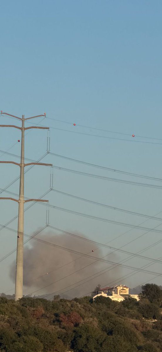 Little Think Tank tweet media