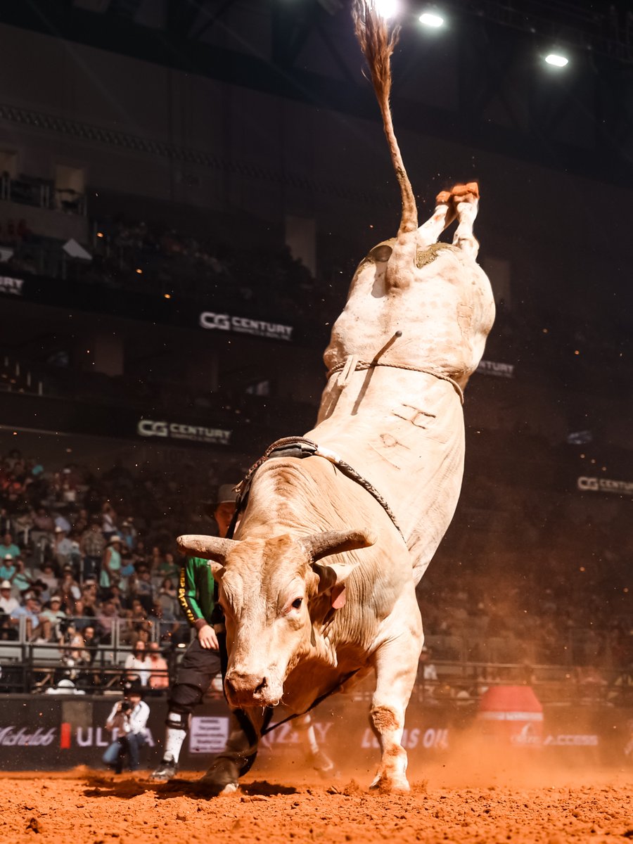 PBR's tweet photo. Our favorites of 19H Man Hater 🤍 https://t.co/LdRZxeTPiS