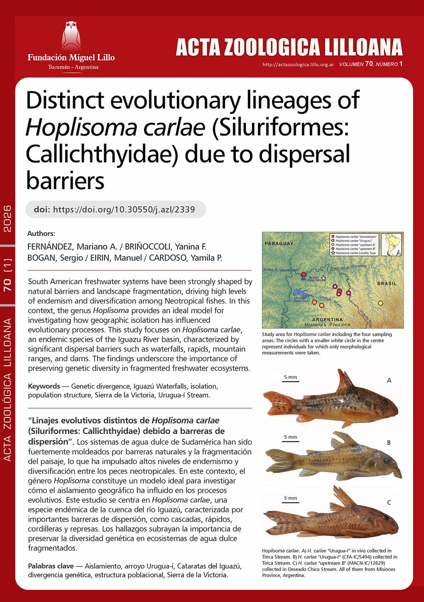 FundLillo's tweet photo. Más publicaciones para descargar GRATIS!

Revista AZL: 
“Linajes evolutivos distintos de Hoplisoma carlae (Siluriformes: Callichthyidae) debido a barreras de dispersión”.

Autores: M. A. Fernández et al.

Página: https://t.co/VlB11Z5wsU https://t.co/n3Shhz82nl