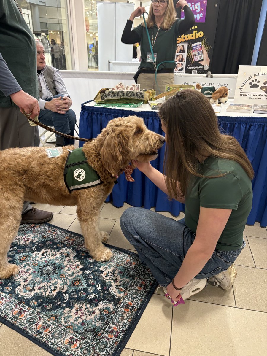 Handley Interact tweet media