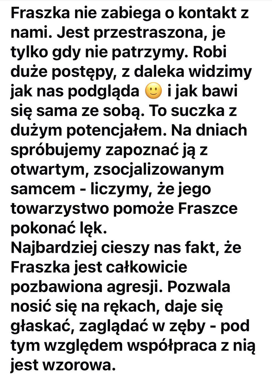💔RATUNKU 
Ta psinka to jeden wielki strach.
Fraszka, która cały dzień siedzi w budzie i je tylko wtedy, gdy nikt nie patrzy⤵️

Reksio - Schronisko dla Zwierząt w Brodnicy
ul. Ustronie 20 B
87-300 Brodnica
Tel. +48 606 881 470
Reksiobrodnica.pl 
E-Mail: reksiobrodnica@o2.pl
