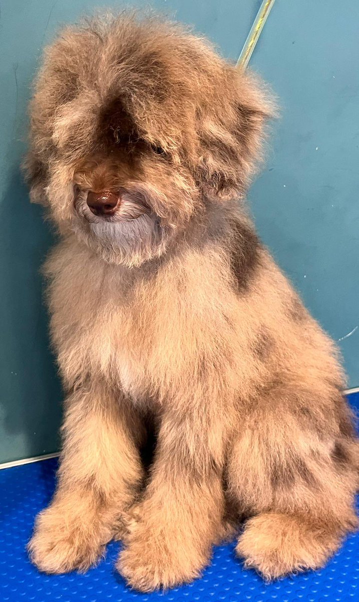 BeMoreBob tweet media