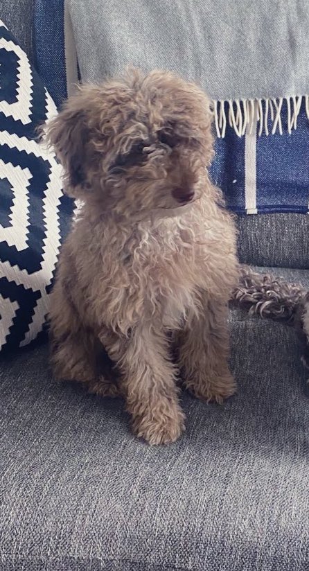 BeMoreBob tweet media