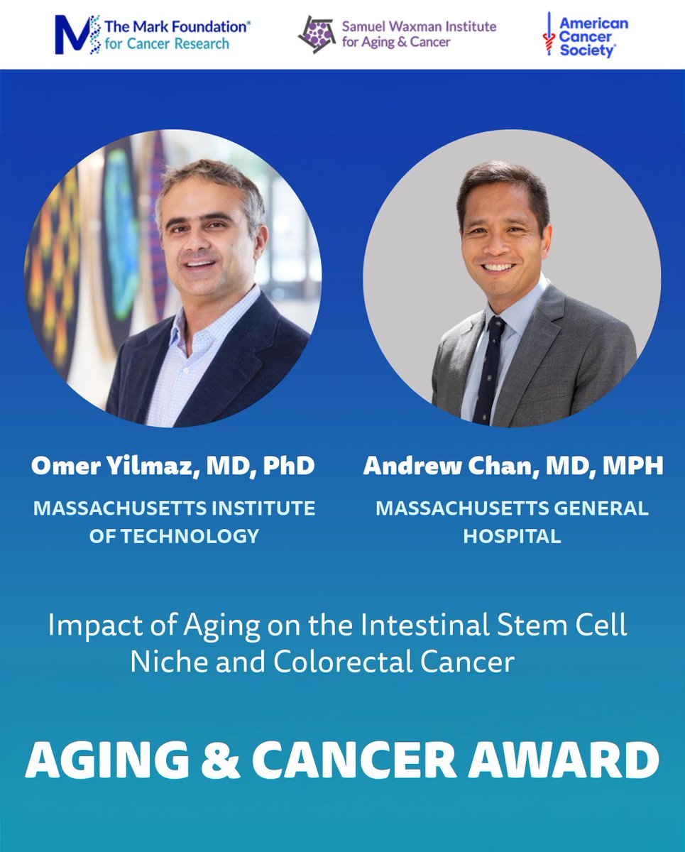 The Mark Foundation for Cancer Research tweet media