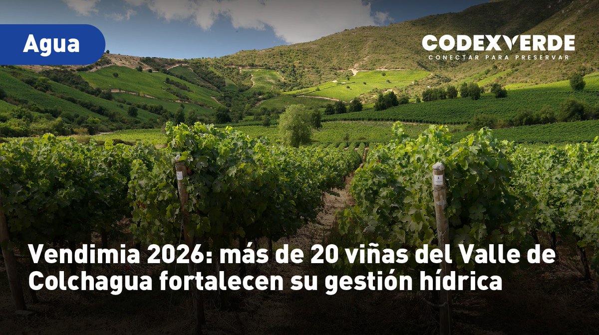 Codexverde tweet media