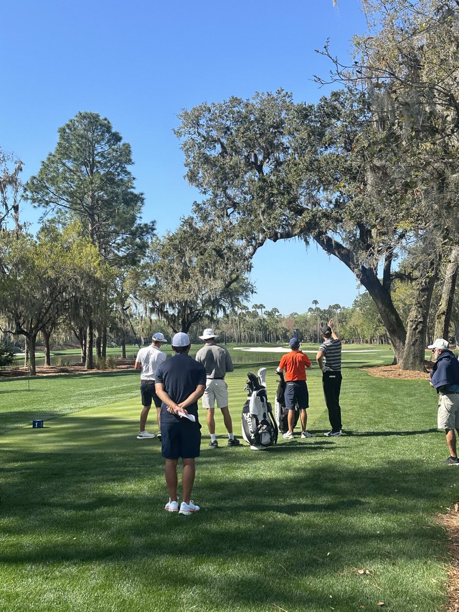 Joseph LaMagna tweet media