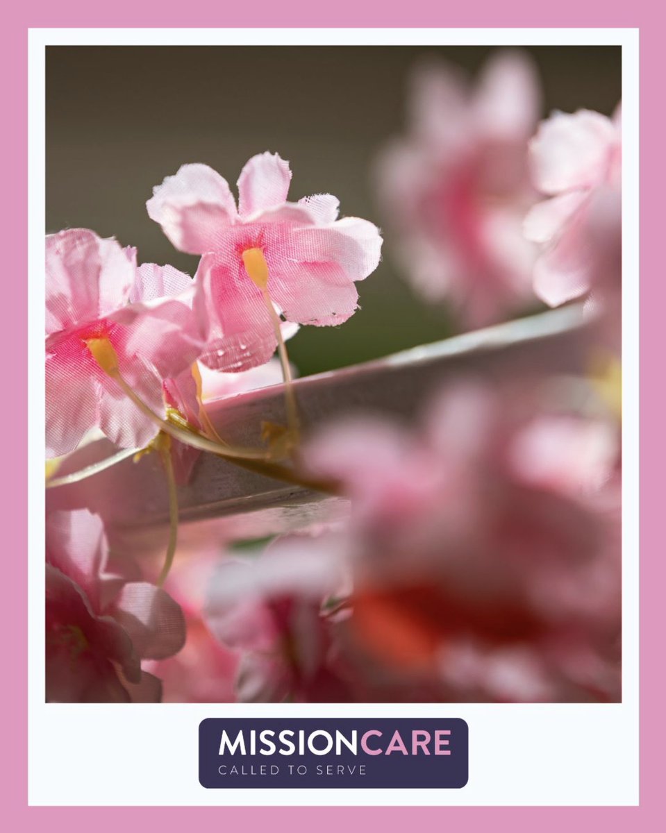 Mission Care tweet media