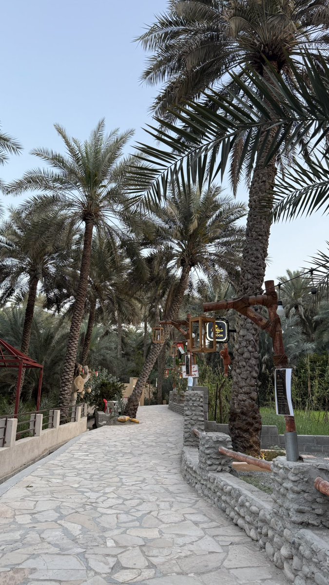 تهاني tweet media