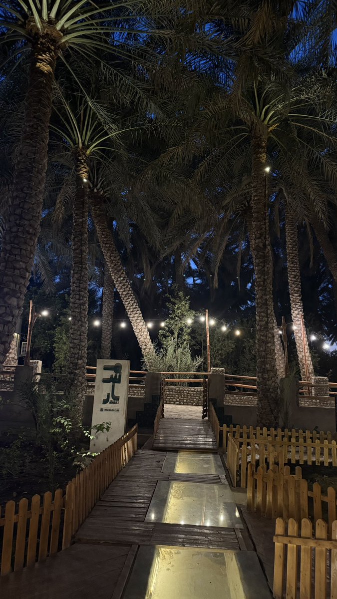 تهاني tweet media