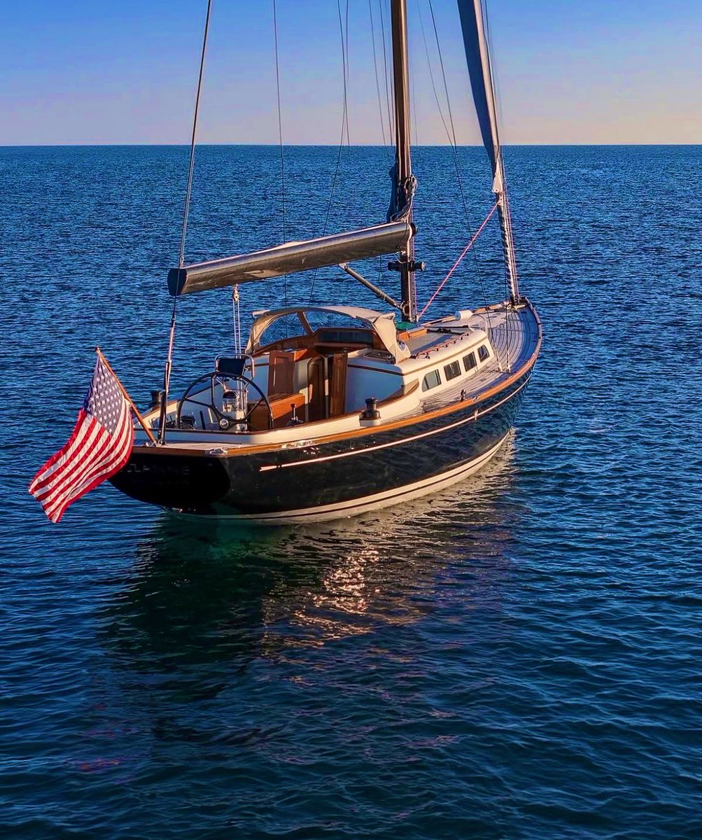 Hamilton 🇺🇸 tweet media