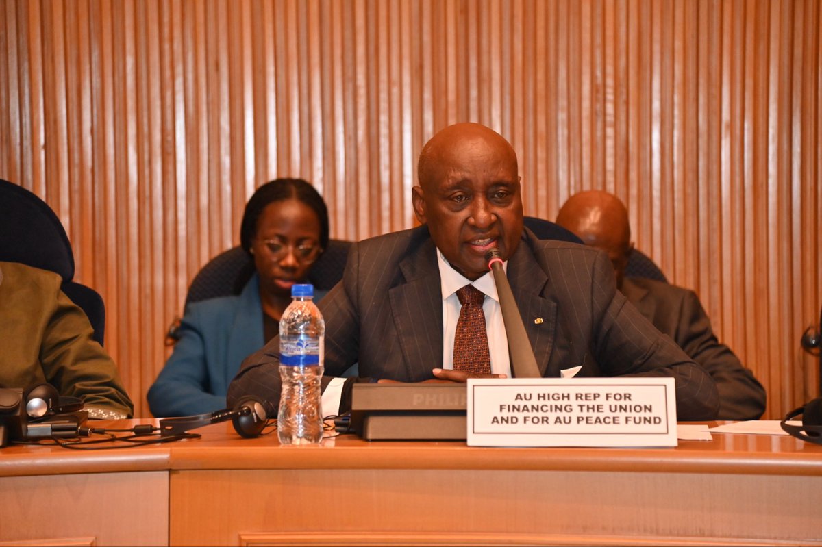 African Union Political Affairs Peace and Security tweet media