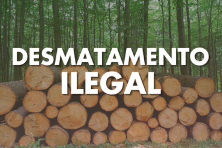 MPFederal tweet media