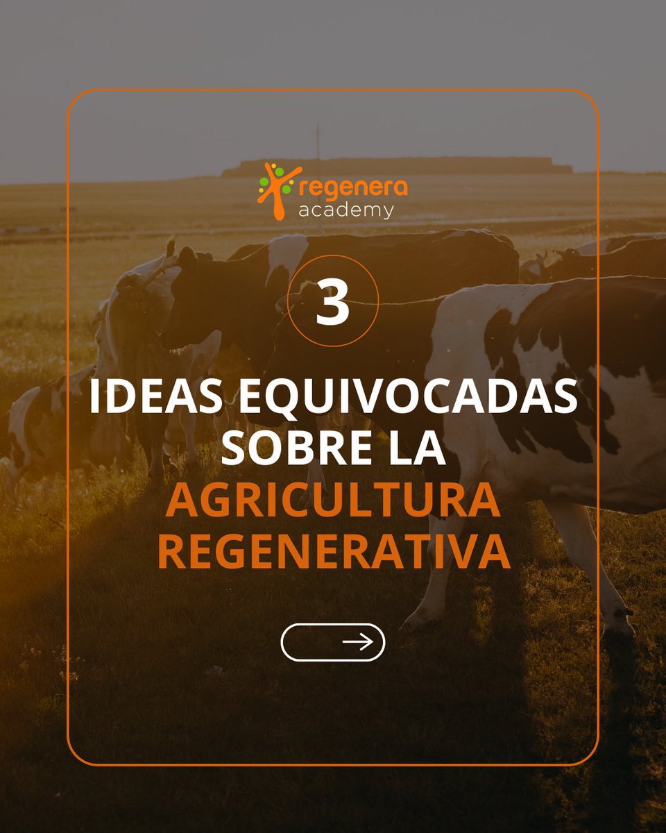 Lucas Andreoni tweet media