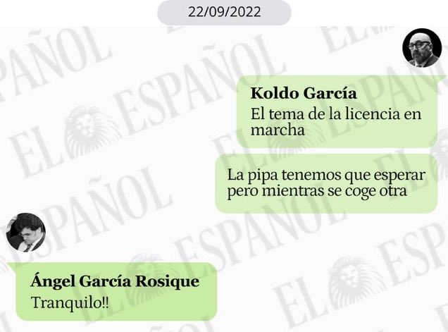 Cayetana Álvarez de Toledo tweet media