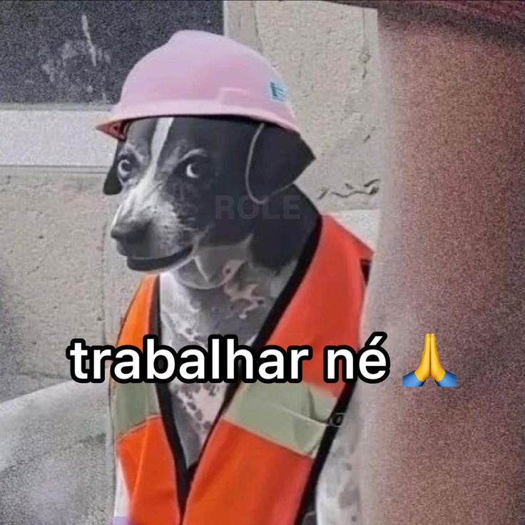 Foderastov tweet media