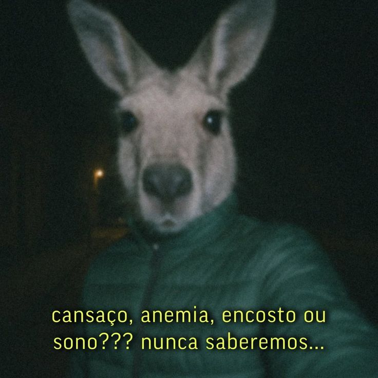 Foderastov tweet media